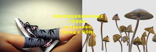 винт Володарск