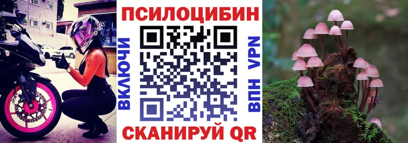 купить наркотики сайты  Торжок  Галлюциногенные грибы Cubensis 